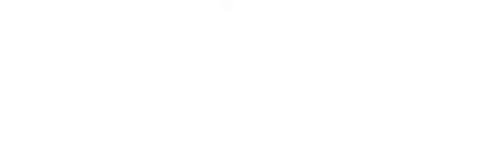 The Web Experts